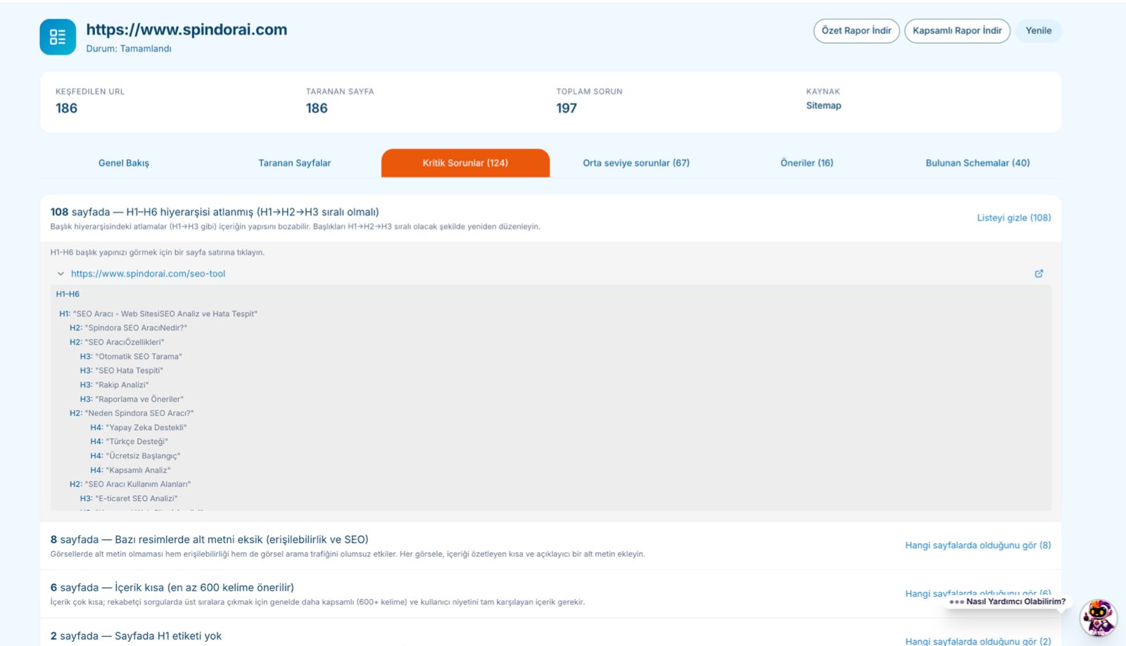 Spindora SEO Spider full site audit ekranı — domain geneli teknik SEO analiz aracı